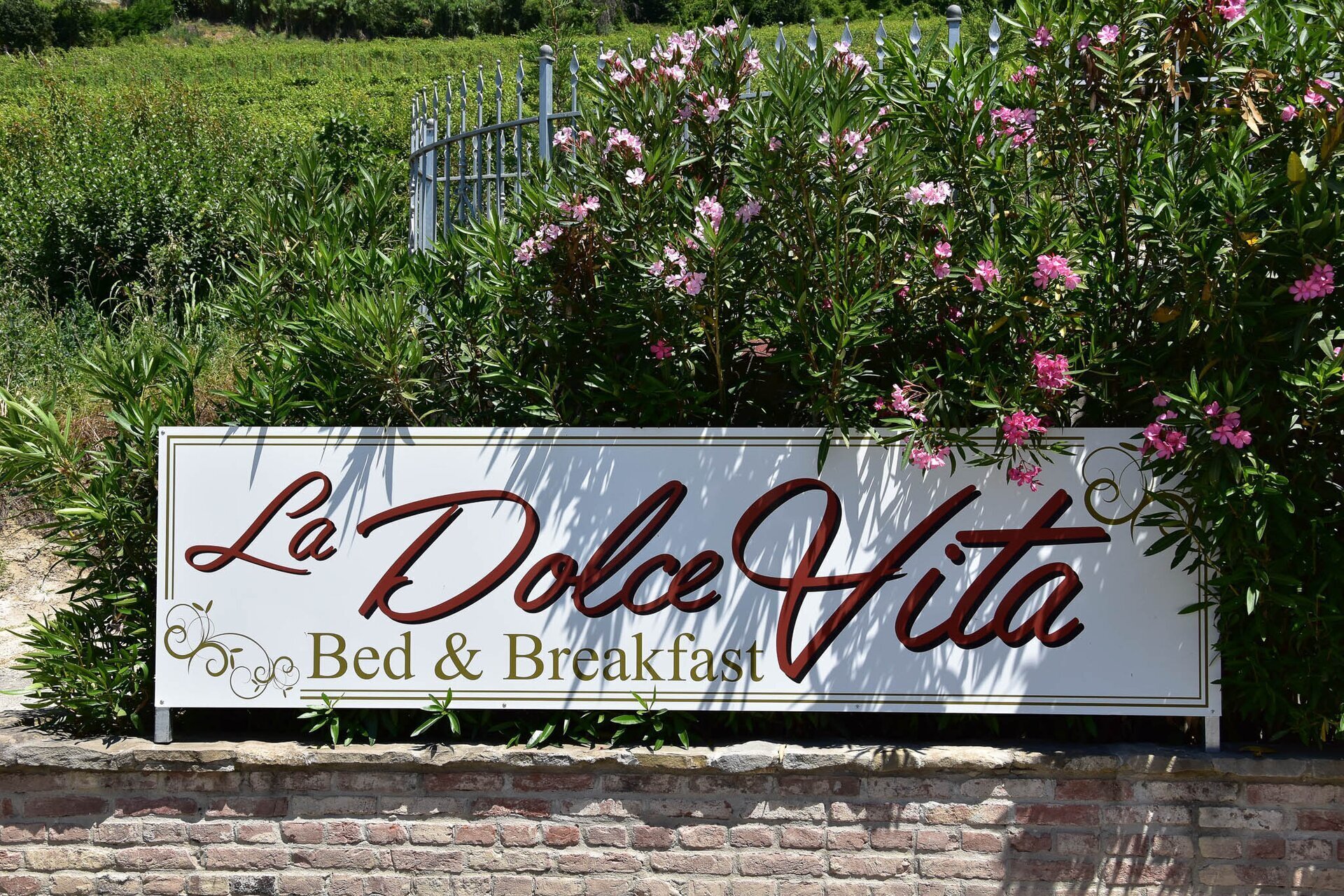 01 Visitlmr Immagini La Tua Vacanza Dove Dormire Dove Dormire Elenco Strutture Langhe Roero Priocca Beb La Dolce Vita 10311 Image Thumb 10311 Thumb1920 Priocca Beb La Dolce Vita 3 De50b440