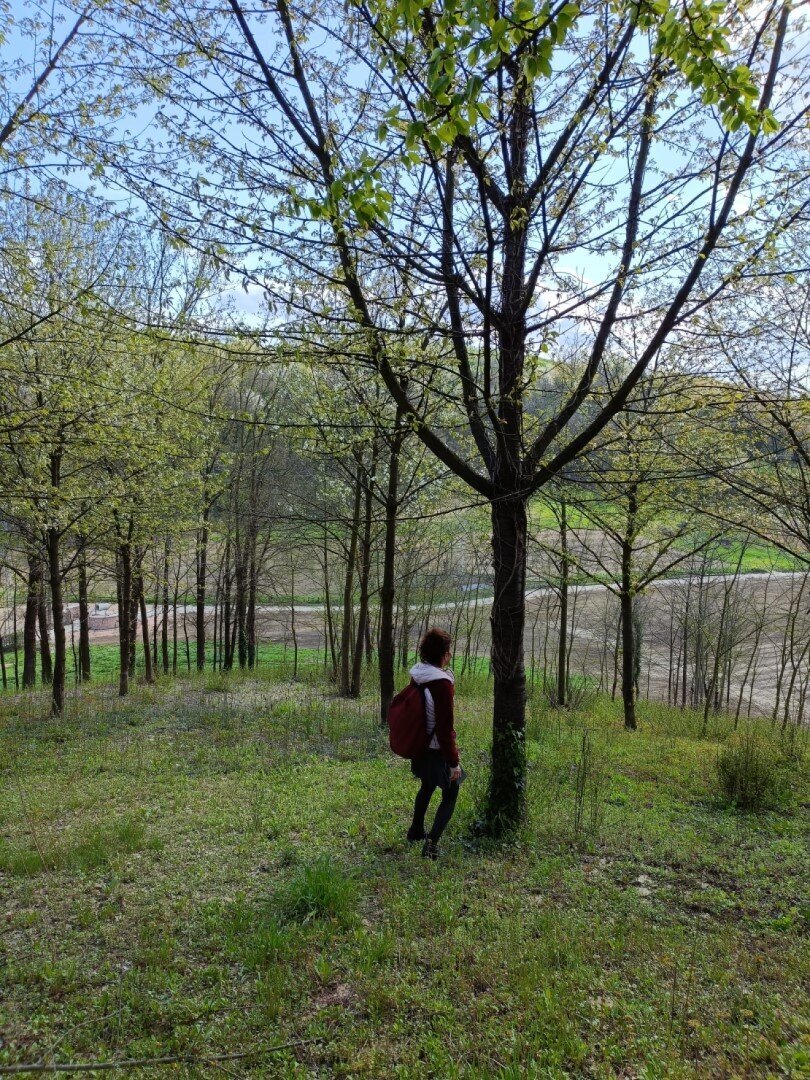 Nature Bathing nel Bosco