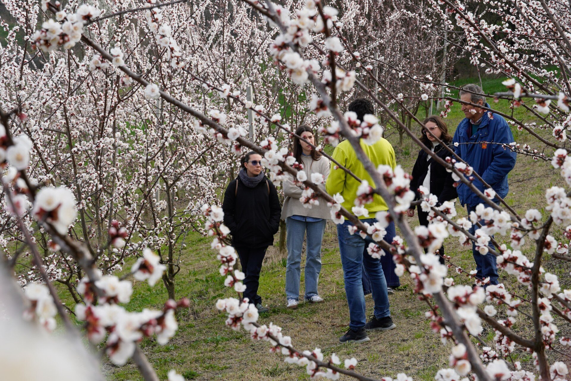Alla scoperta del frutteto - Slow Food Travel Roero