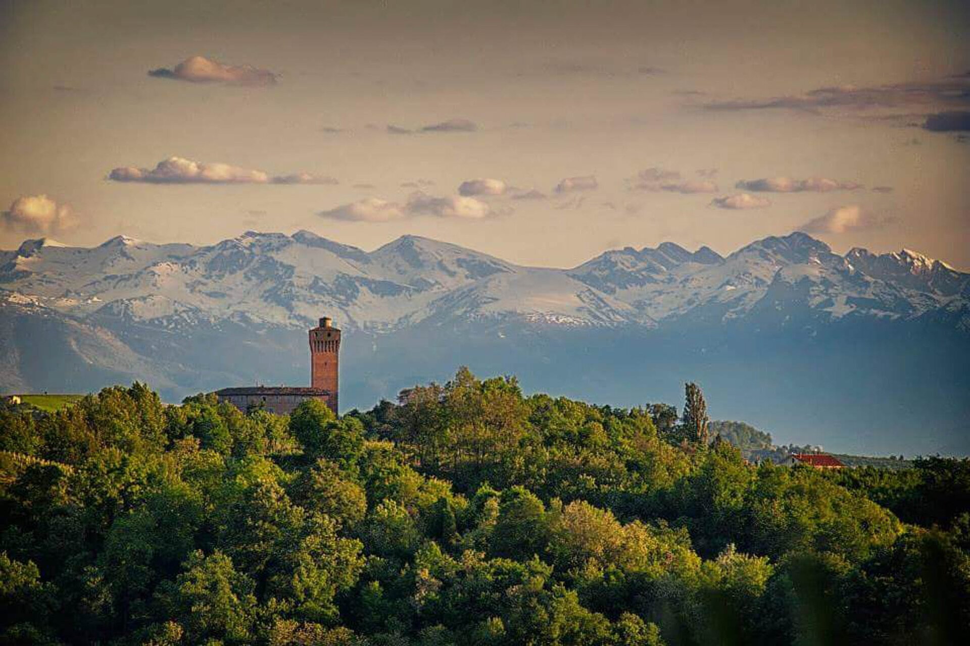 01 Visitlmr Immagini La Tua Vacanza Dove Mangiare Dove Mangiare Elenco Ristoranti Langhe Roero Monticello D Alba Il Giardino Del Roero 5490 Image Thumb 5490 Thumb1920 Monticello D Alba Il Giardino Del Roero 3 5c842e0e