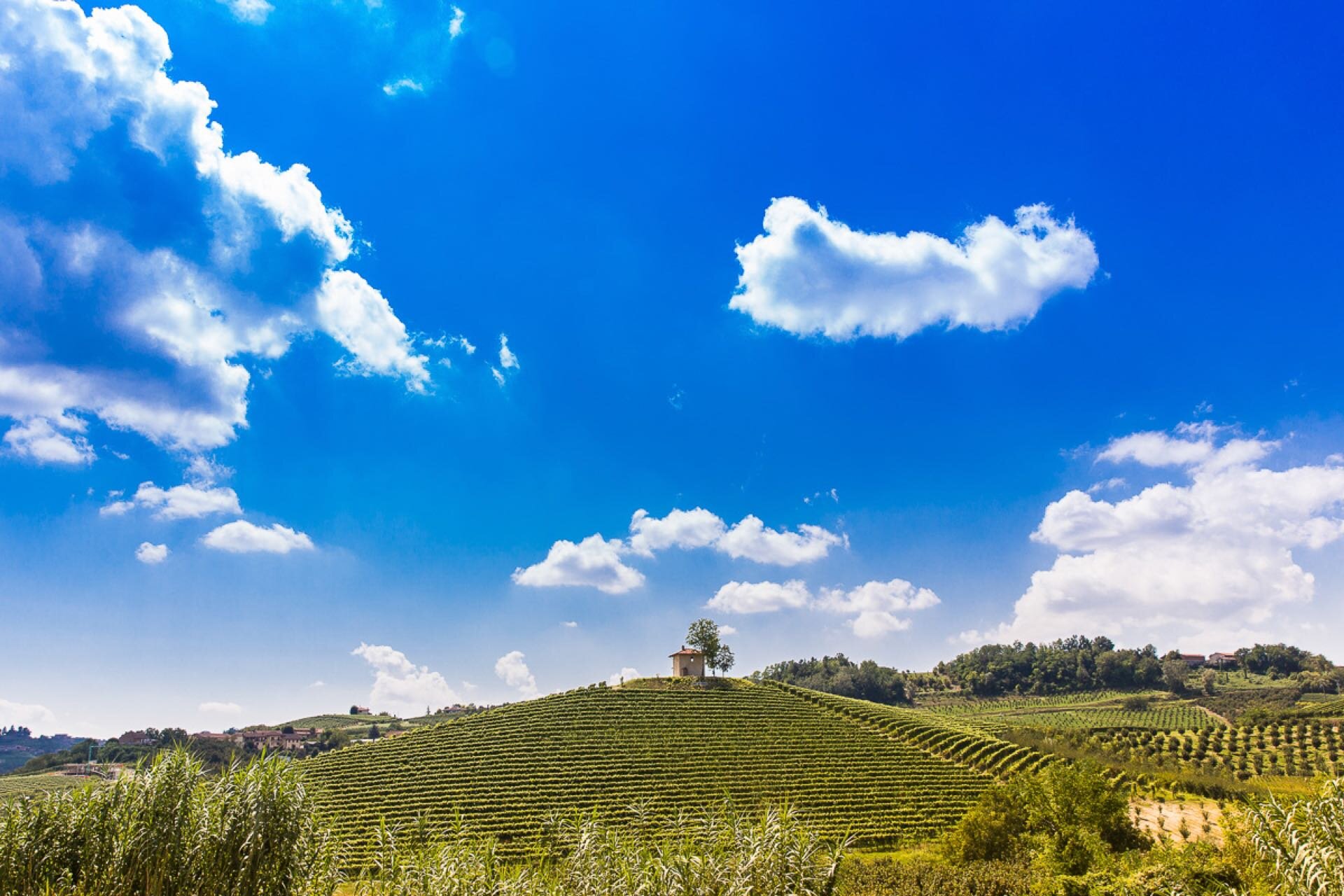 Roero WineTour 2