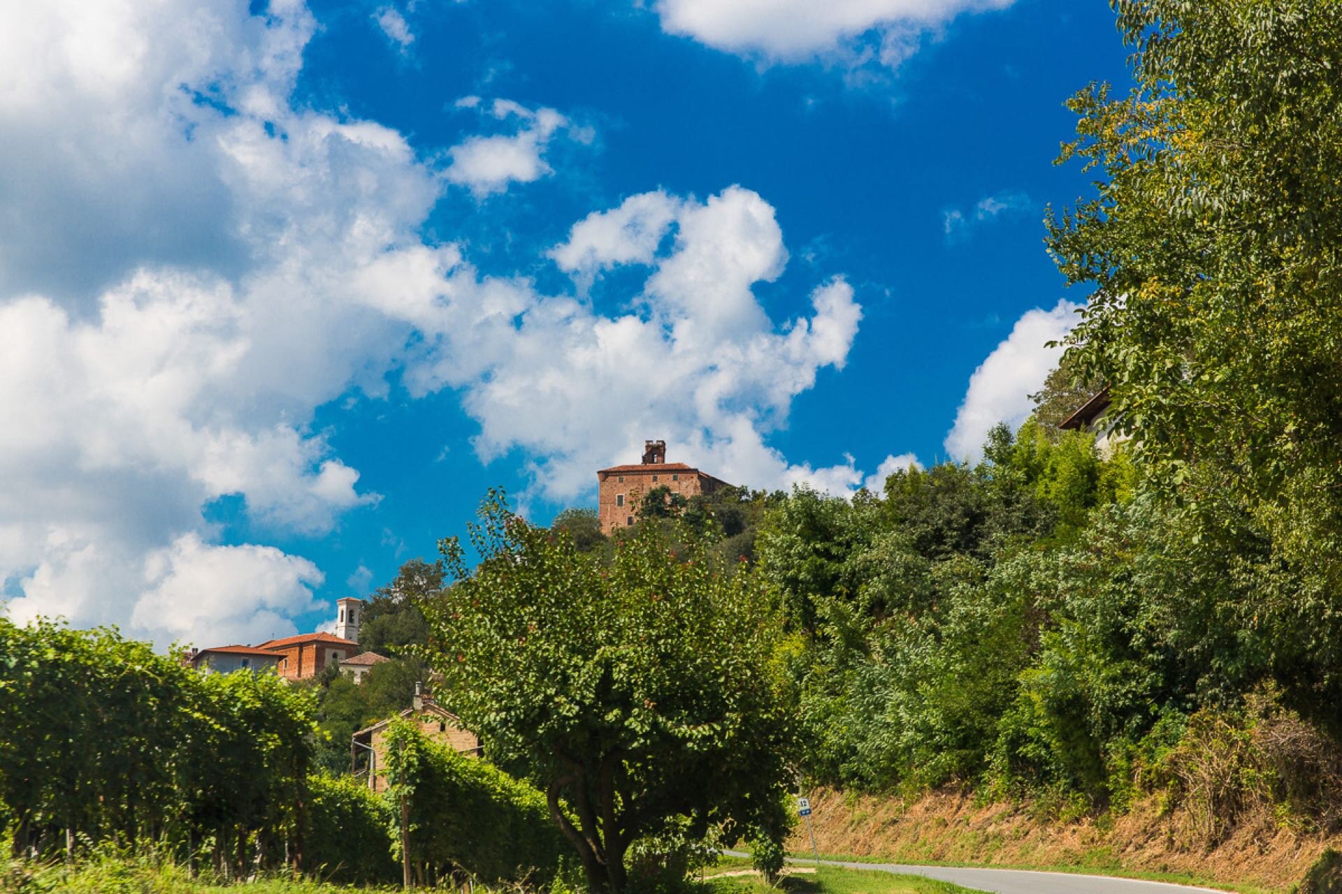 Roero WineTour 3