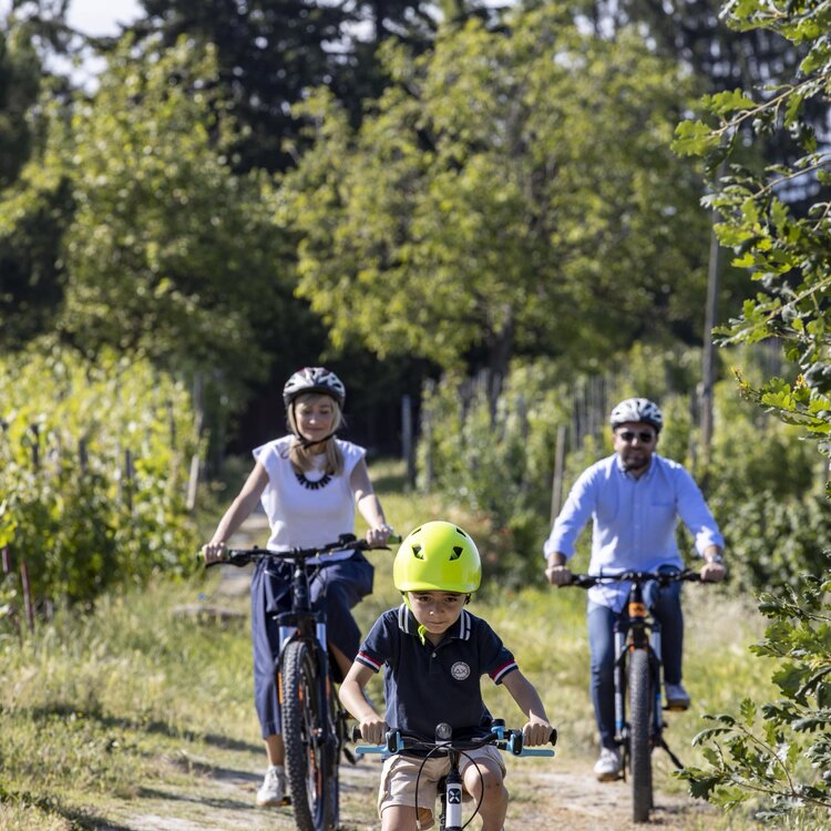 Bici San Licerio Guarene Can T Forget Italy Archivio Ente Turismo Lmr 9