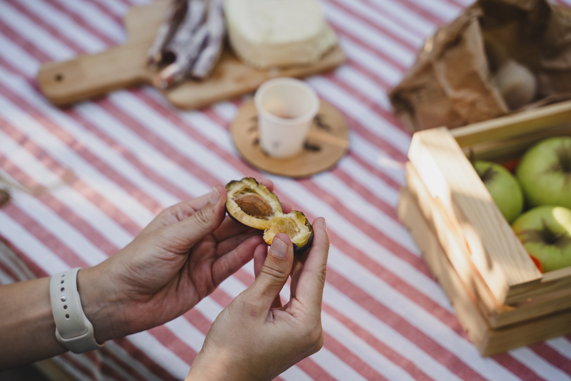 Picnic tra i sapori delle stagioni