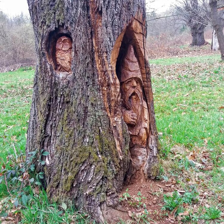 Bosco Fatato 3