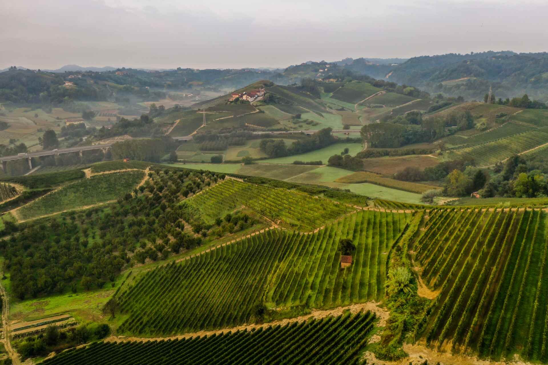 Paesaggio Vitivinicolo Monta Credits Andreagiorio