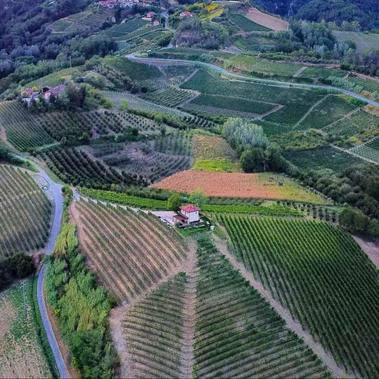 Panorama Ciabot Sangiorgio