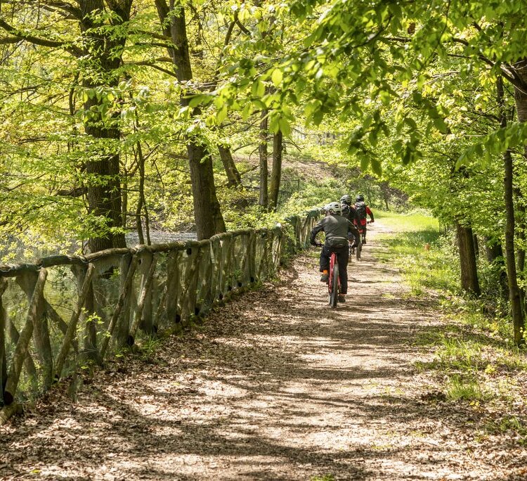 Parcoforestale 4