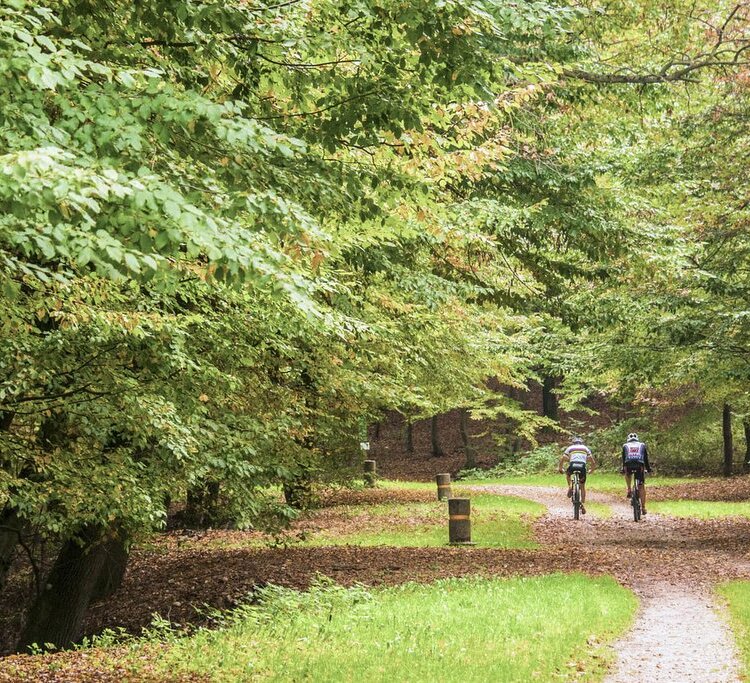 Parcoforestale 5