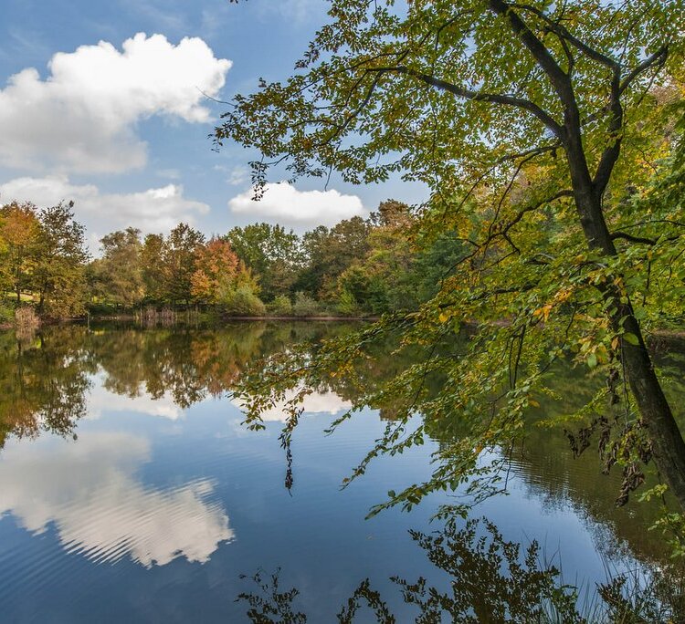 Parcoforestale 2